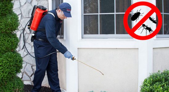 Gümüşhacıköy Kene İlaçlama böcek ilaçlama ve haşere kontrolü — ilaclama-tr.com